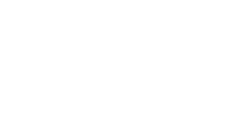 logo-blanco-nombre-palomino